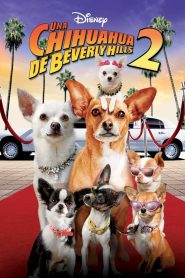 Una chihuahua de Beverly Hills 2