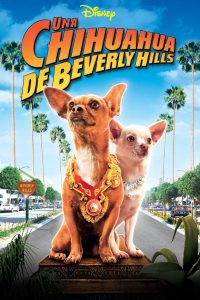 Una chihuahua de Beverly Hills