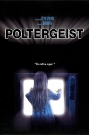 Poltergeist: Juegos diabólicos