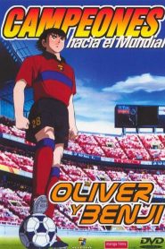 Captain Tsubasa: Rumbo al mundial 2002